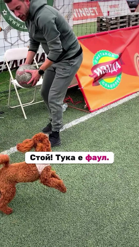 Изида като партньор на турнира ZICO Виенска CUP